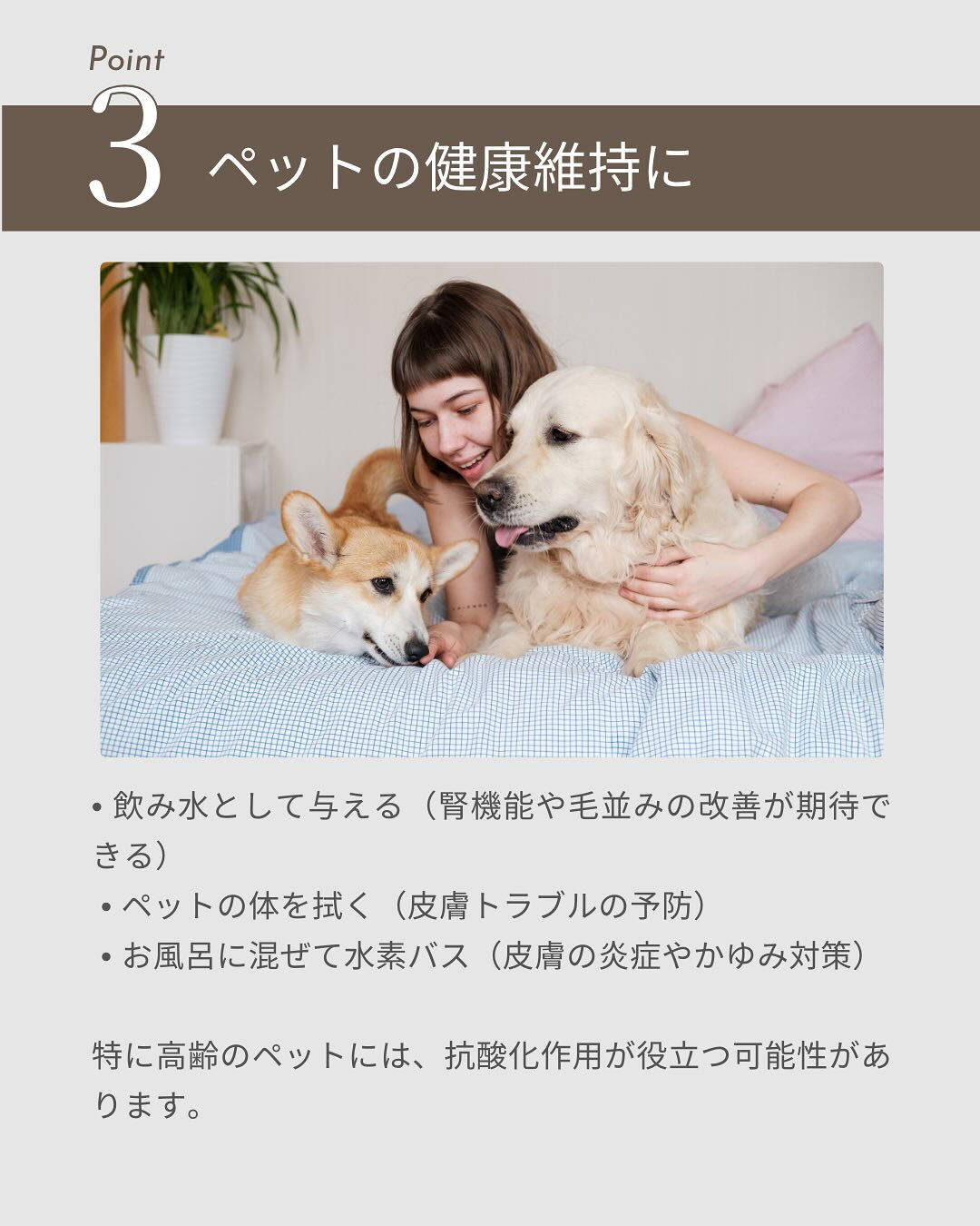 水素水は飲む以外にもさまざまな活用法があります✨